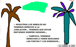 &iquest;A qui&eacute;n dirigirse si se quiere publicar art&iacute;culos en un medio nacional?? .    &copy; jmm caminero