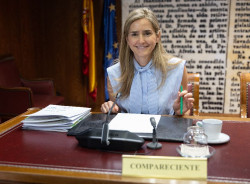 Aagesen asegura que "nunca" recibi&oacute; ninguna indicaci&oacute;n de Moncloa en los pr&eacute;stamos a Air Europa y Tubos Reunidos
