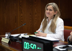 Aagesen dice en el Senado que "el operativo y la coordinaci&oacute;n interministerial fue constante" desde el d&iacute;a de la dana