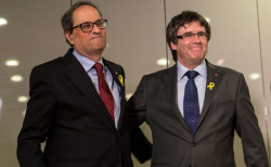 Adiestrados bufones de la pol&iacute;tica