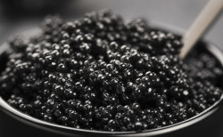 Aflora la maldad de la izquierda caviar. Por Jes&uacute;s Salamanca Alonso