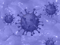  Anticuerpos preexistentes contra el coronavirus podr&iacute;an ayudar a proteger a ni&ntilde;os contra una nueva cepa