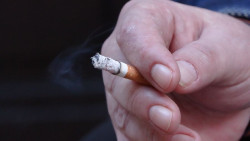 Asturias comparte la reforma de la Ley de Tabaco y recuerda que "la prioridad es la salud de las personas"
