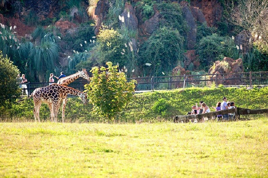 Cab&aacute;rceno recibe este Primero de Mayo 6.375 visitantes