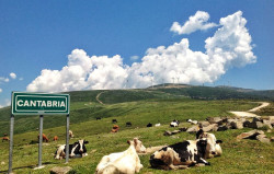 Cantabria Liberal revolucion&oacute; el sector ganadero al informar de la presunta venta a p&eacute;rdidas de leche gallega en Makro