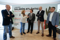 Cantabria lucha contra el "declive" del salmón con un programa que cría 300.000 ejemplares al año