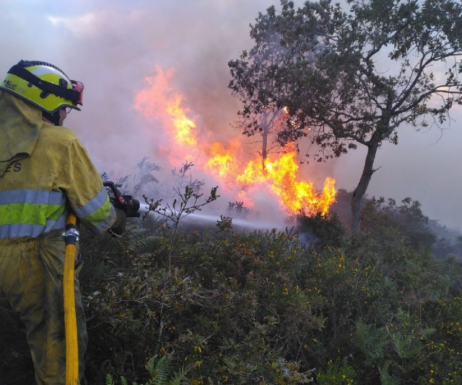 Cantabria tiene cuatro incendios forestales activos en Cabez&oacute;n de Li&eacute;bana, Vega de Pas, Pe&ntilde;arrubia y Arredondo