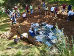 Cantur y Bosques de Cantabria acondicionan zonas de charca para anfibios en el Parque de Cabárceno