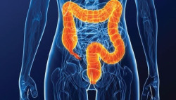 Cirujanos expertos aumentan la supervivencia al c&aacute;ncer de colon en un 70% en fases 2 y 3