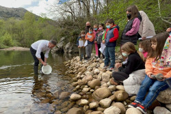 Comienza la suelta de 15.000 alevines de salm&oacute;n y trucha para repoblar el Nansa