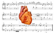 Corazón musical    Dr. José Manuel Revuelta Soba