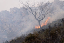 CSIF denuncia falta de medios y plantillas preparadas para combatir los incendios: "S&aacute;nchez juega con fuego"