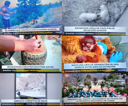 &iquest;De verdad informan los telediarios?   Por David Pasarin-Gegunde