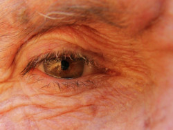 Desarrollan un esc&aacute;ner ocular que detecta el envejecimiento molecular en humanos