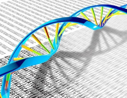 Descubren nuevas variantes gen&eacute;ticas responsables de trastornos del neurodesarrollo