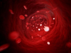 Descubren qu&eacute; hace que los vasos sangu&iacute;neos sean permeables, lo que abre nuevas v&iacute;a de terapia contra la sepsis