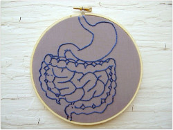 Descubren una segunda v&iacute;a clave en el crecimiento de las c&eacute;lulas madre del c&aacute;ncer de colon