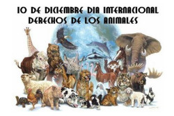 Día Internacional de los Derechos de los Animales