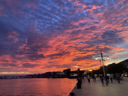 "Donald Trump es el quitamiedos entre Israel y Gaza".©Mariano Cabrero Bárcena es escritor