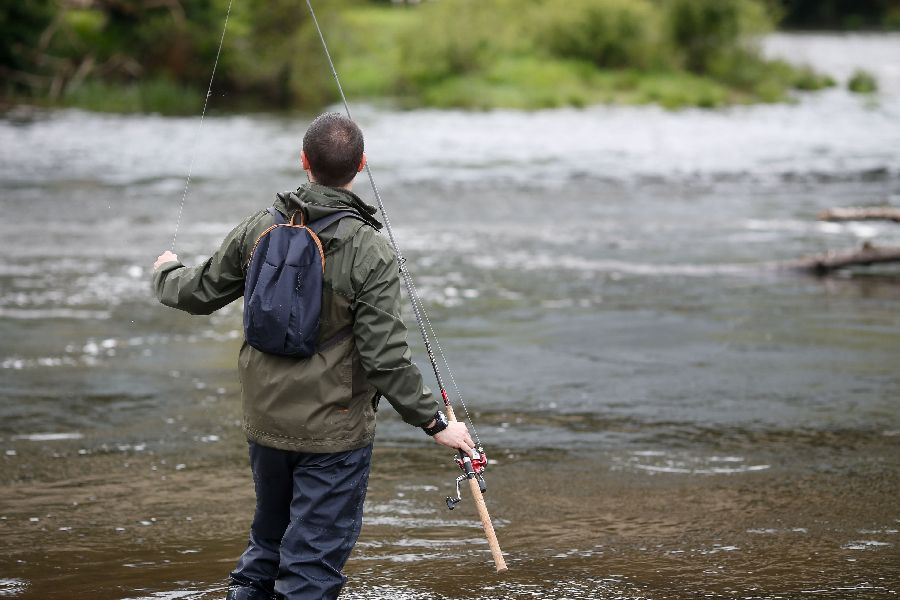 Ecologistas en Acci&oacute;n censura que el Gobierno no vede el salm&oacute;n en Cantabria: "Nada hacia la extinci&oacute;n"