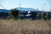 EEUU afirma que "acompa&ntilde;a" a Espa&ntilde;a en estos "momentos dif&iacute;ciles" tras el accidente ferroviario en Toledo
