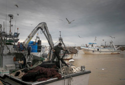 El BOE publica las ayudas para los pescadores por las paradas del estado de alarma