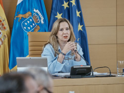 El Cabildo de Tenerife afea la "unilateralidad" de un Gobierno "soberbio" en su gesti&oacute;n con `Mv Hondius`