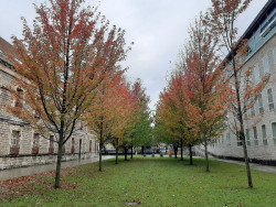El fiscal pide dos a&ntilde;os de c&aacute;rcel para un hombre por abusar de una compa&ntilde;era de trabajo