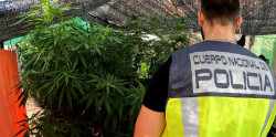 El fiscal pide tres a&ntilde;os y medio a cinco acusados de la asociaci&oacute;n cann&aacute;bica de Monte por vender droga