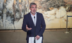 EL Gobierno canario estudiar&aacute; si recurrir&aacute; ante los tribunales la autorizaci&oacute;n del fondeo `Mv Hondius`
