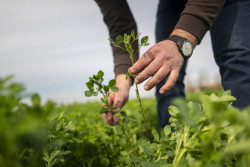 El Gobierno de Espa&ntilde;a abonar&aacute; 494,5 millones de ayuda para fertilizantes a agricultores en septiembre