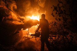 El incendio de &Aacute;vila ha quemado ya 50.000 hect&aacute;reas, el mayor fuego de la historia de Espa&ntilde;a