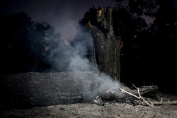 El incendio de Burgohondo no avanza "un cent&iacute;metro" pero har&aacute;n falta "muchos d&iacute;as" para estabilizarlo