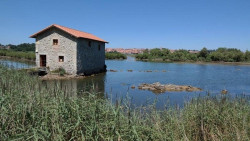 El Molino de las Aves de Noja abrir&aacute; sus puertas del 8 al 24 de abril