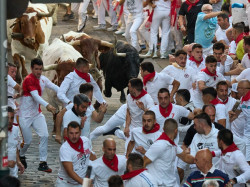 El primer encierro de San Ferm&iacute;n logra un 65,9% de cuota y 1.460.000 espectadores en La 1 y Canal 24 horas