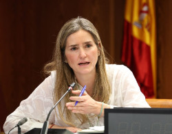 El Senado interroga esta semana a la vicepresidenta Aagesen y al DAO de la Guardia Civil