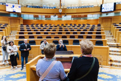 El Senado reordena los esca&ntilde;os del hemiciclo tras la entrada de dos senadores de Vox: se sentar&aacute;n al lado del PSOE