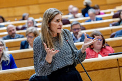 El Senado reprueba a Aagesen con los votos a favor de PP, Vox y UPN por su "nula" gesti&oacute;n del `apag&oacute;n`