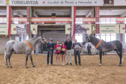 El XXIV Concurso Morfol&oacute;gico Ciudad de Torrelavega re&uacute;ne a 65 caballos procedentes de todo el pa&iacute;s