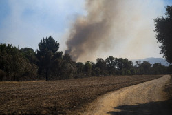 En libertad el detenido por el incendio de la Bisbal (Girona) tras pasar a disposici&oacute;n judicial