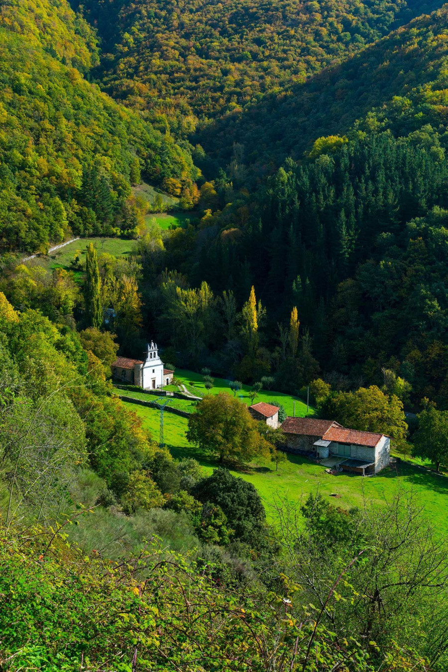 Espa&ntilde;a plantar&aacute; 3,5 millones de &aacute;rboles para ayudar a la restauraci&oacute;n de la naturaleza a nivel europeo