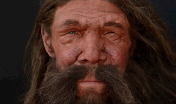 Estudian el ADN neandertal encontrado en humanos modernos usando c&eacute;lulas madre y organoides