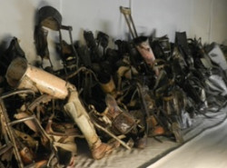 Experimentos del Holocausto