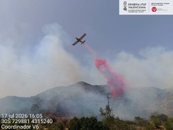 Extinguido el incendio de Llutxent iniciado el viernes desde una planta de biomasa y pas&oacute; a terreno forestal