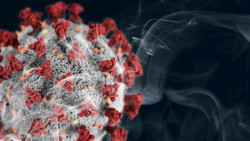 Fumar favorece al virus del COVID-19 para entrar a las c&eacute;lulas