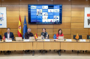 Gobierno y CCAA aprueban repartir 72 millones a programas de cohesi&oacute;n sanitaria, prevenci&oacute;n y vigilancia
