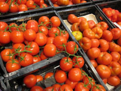 Hallan en alimentos y el agua los qu&iacute;micos que sustituyeron a los CFC que destru&iacute;an la capa de ozono