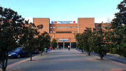  Hospitales espa&ntilde;oles eval&uacute;an la eficacia de la vitamina D a altas dosis en pacientes con neumon&iacute;a por Covid-19
