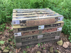 HOTEL DE INSECTOS.  FRANCISCO GLEZ-RIANCHO COLONGUES