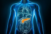 Identificada una mol&eacute;cula que protege al p&aacute;ncreas de la toxicidad asociada a la diabetes tipo 2